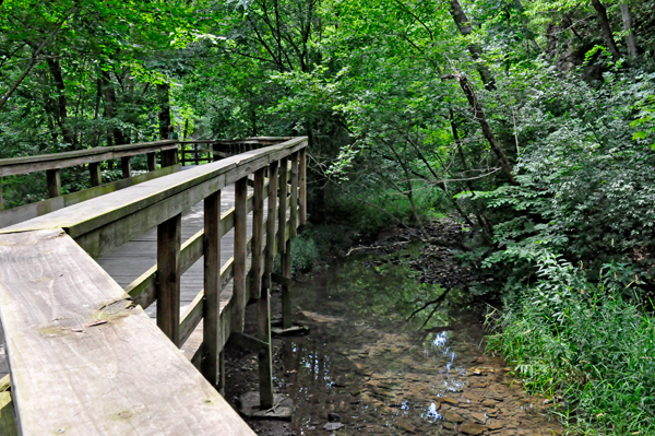 the Boardwalk